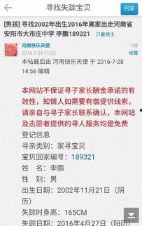林州新闻爆料找谁举报最有效,揭秘举报渠道，助您高效维权