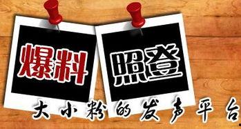 最新散兵爆料新闻,揭秘游戏内神秘角色与剧情走向